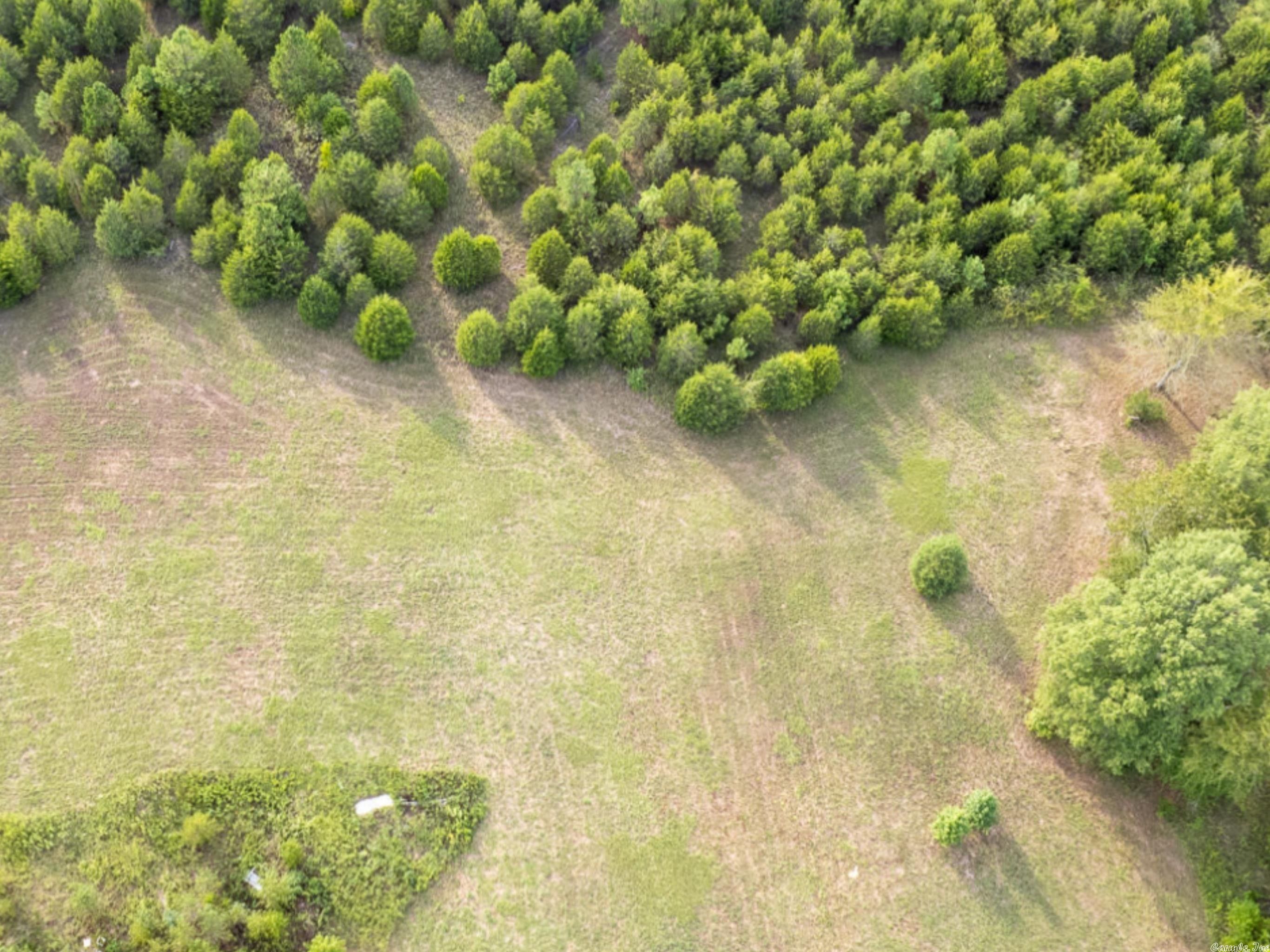 Solgohachia, Conway County, AR Undeveloped Land for sale Property ID