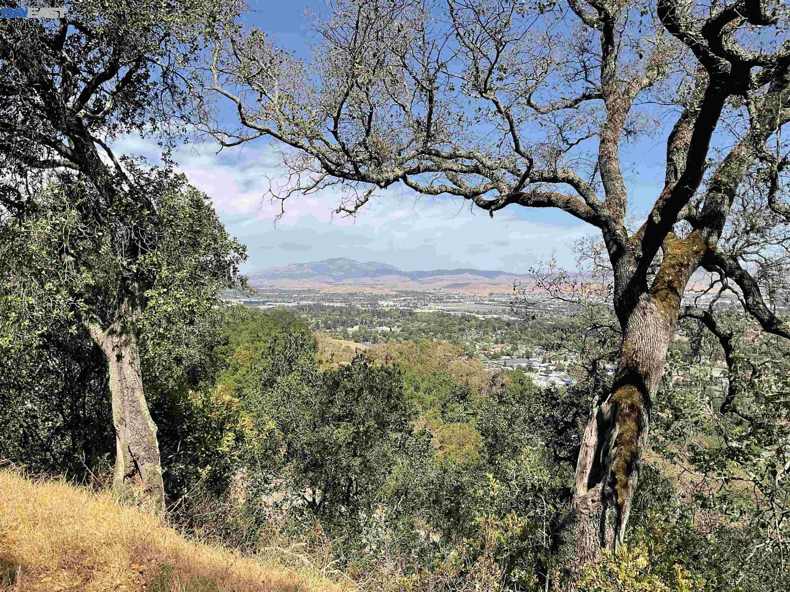 Pleasanton, Alameda County, CA Undeveloped Land for sale Property ID