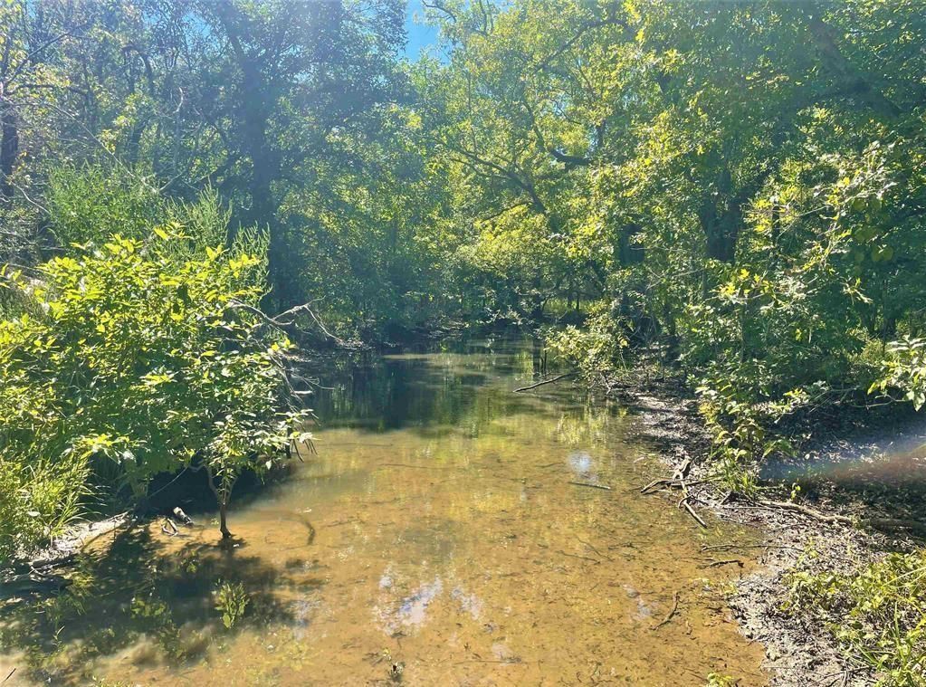 77 acres in Annona, TX, 75550 LandWatch