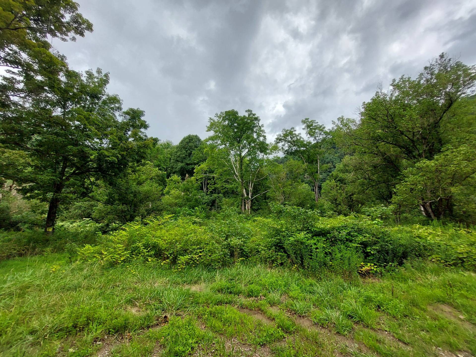 Salem, Harrison County, WV Undeveloped Land, Lakefront Property