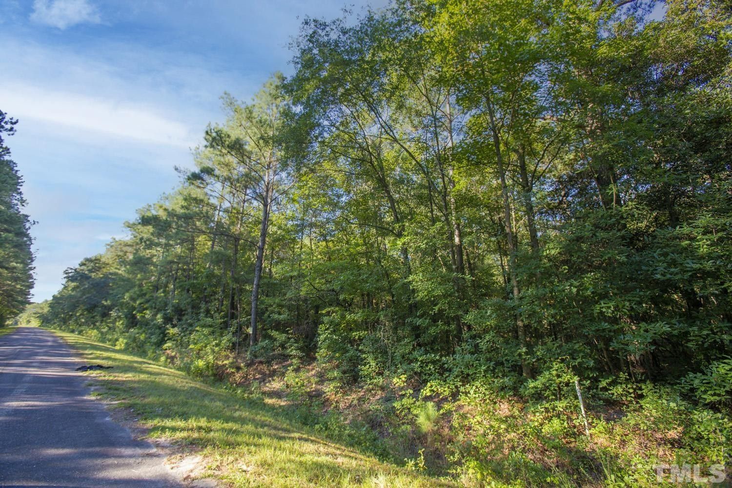 Warsaw, Duplin County, NC Undeveloped Land for sale Property ID