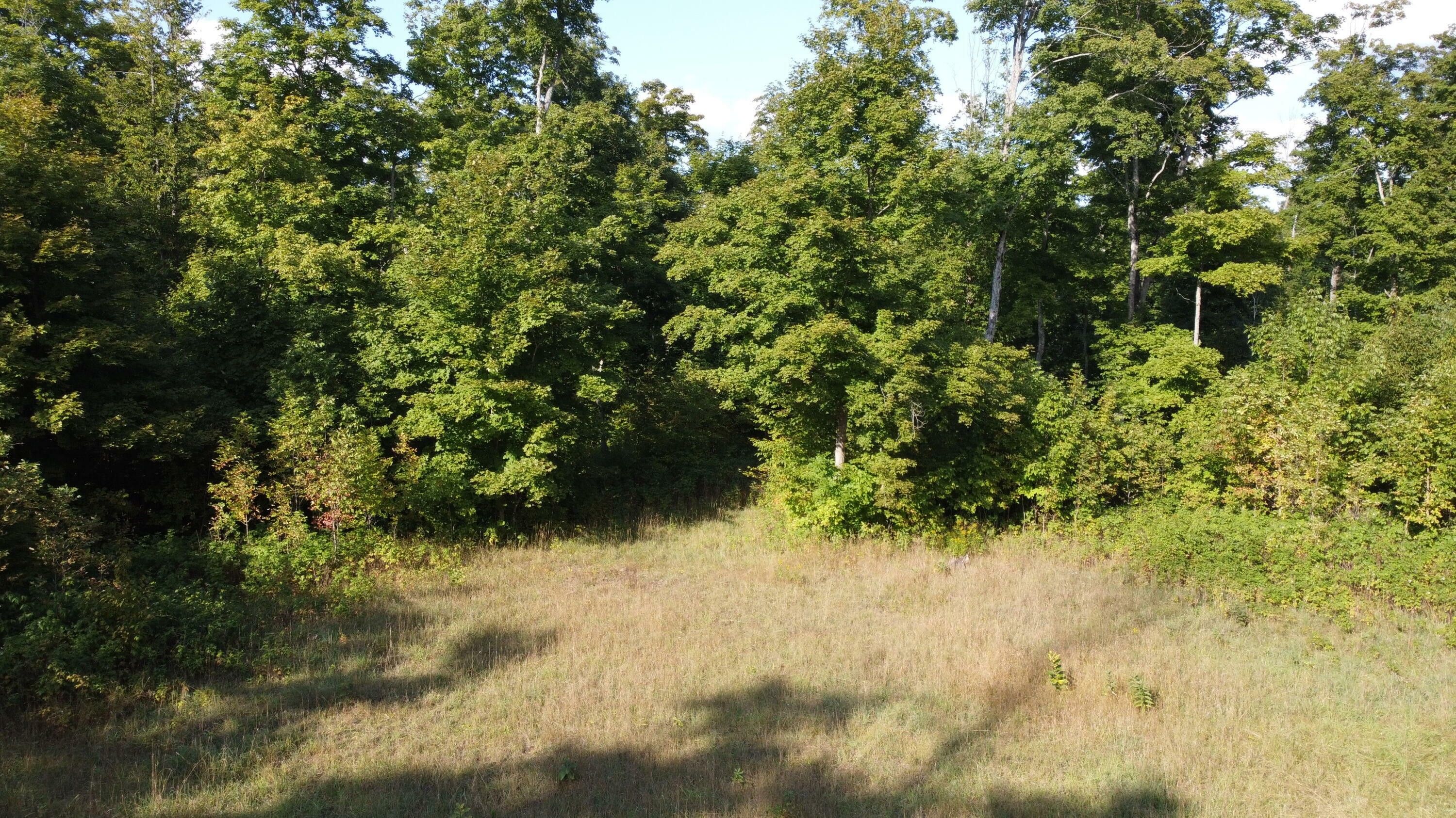 Hessel, Mackinac County, MI Undeveloped Land for sale Property ID
