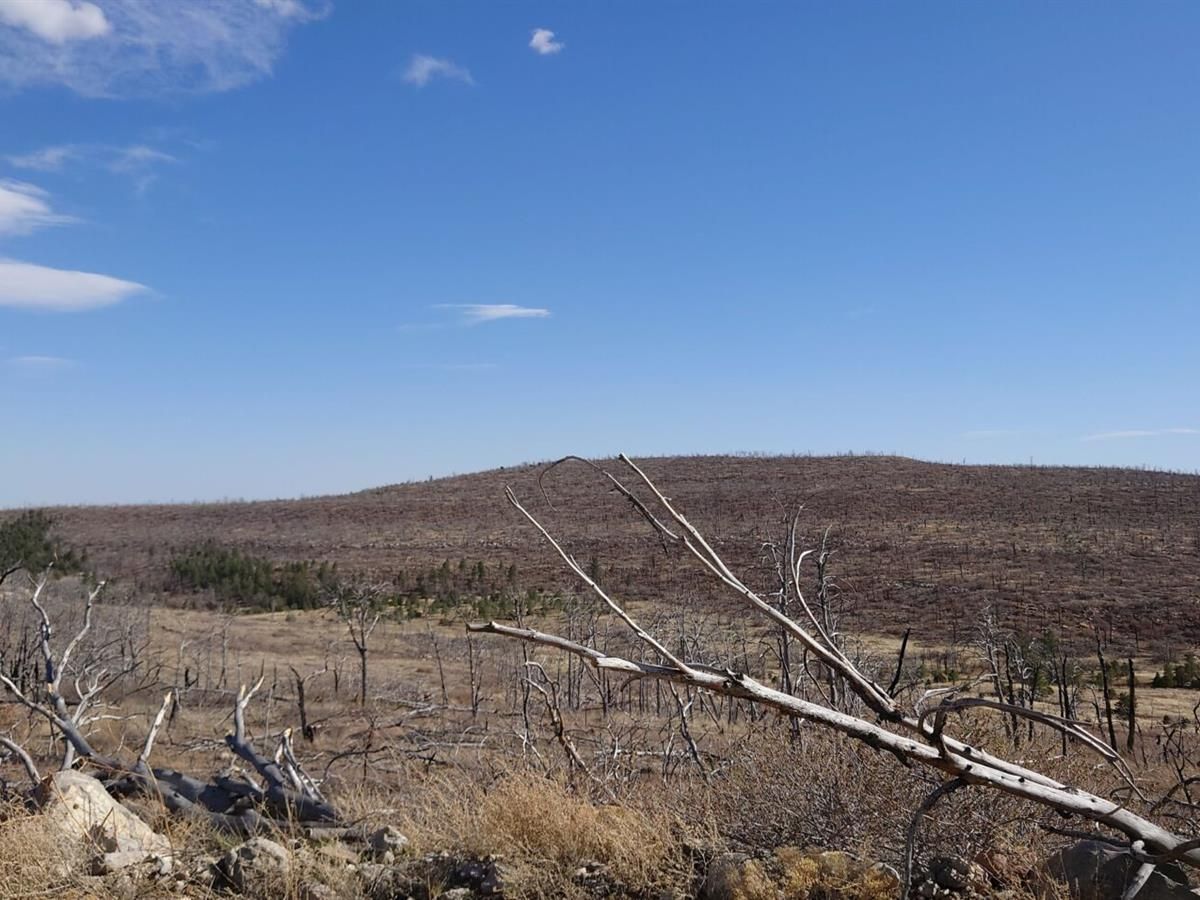 Estancia, Torrance County, NM Recreational Property, Homesites for sale