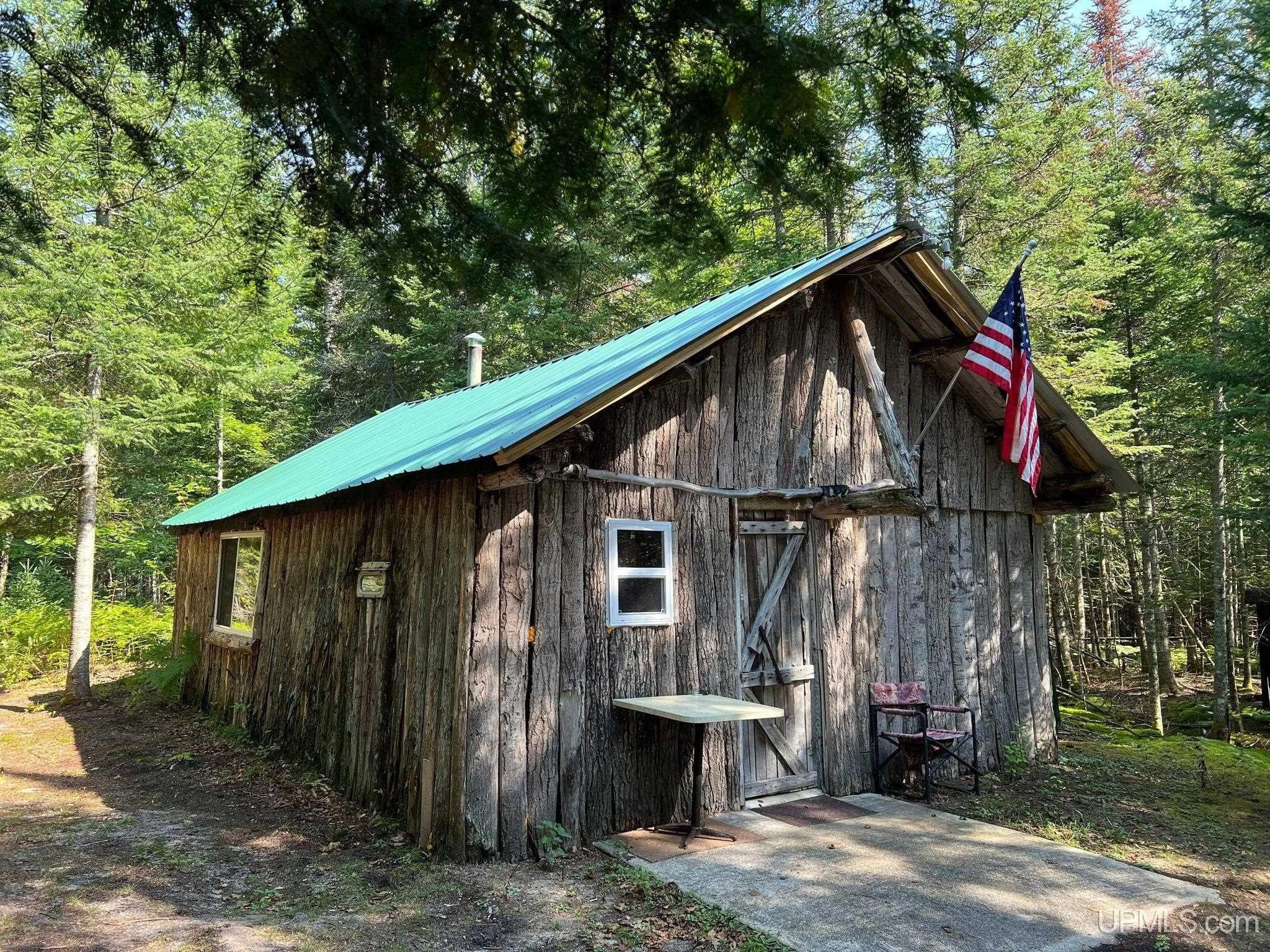 Curtis, Mackinac County, MI Undeveloped Land for sale Property ID