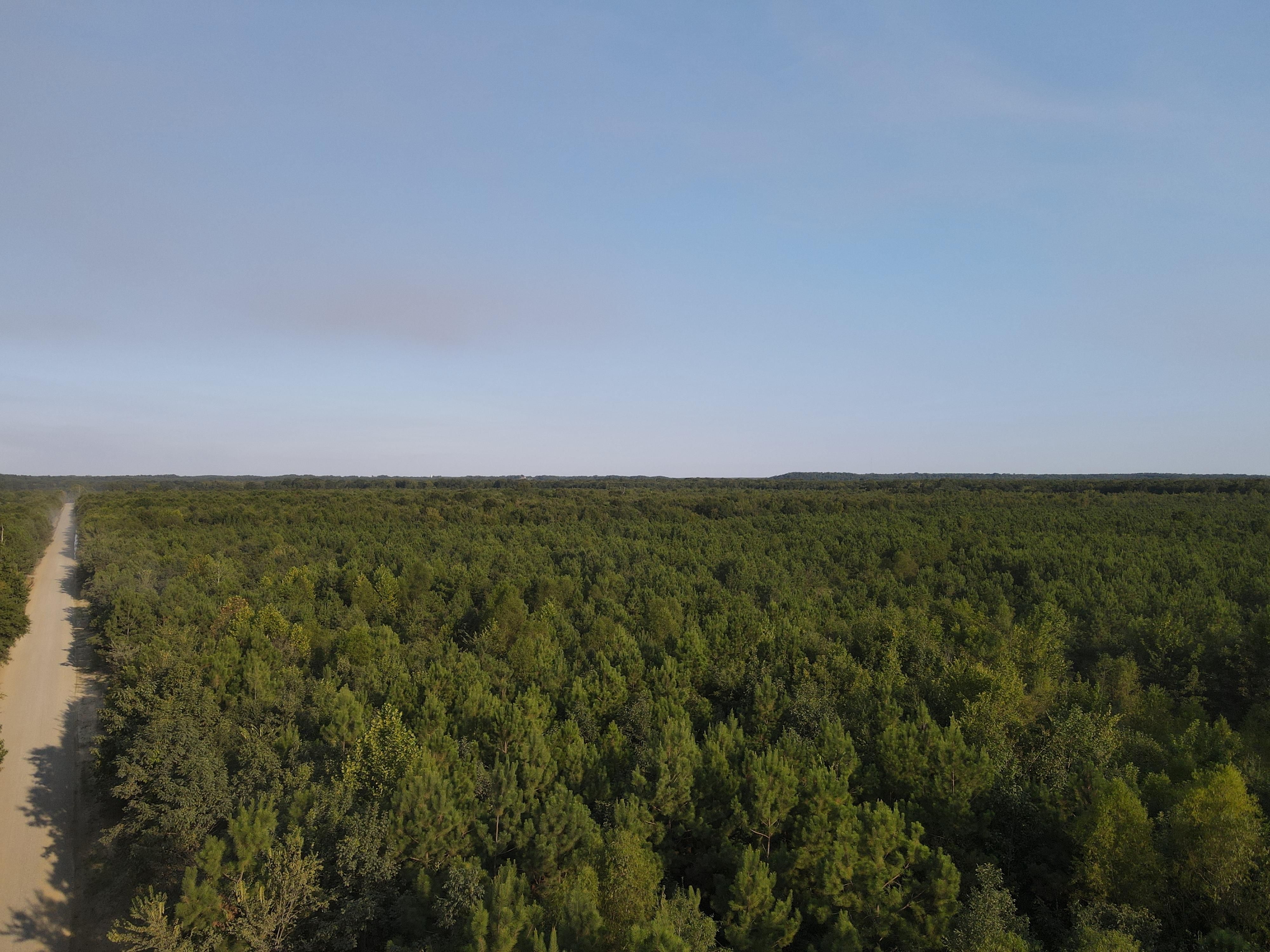 507 acres in Tull, AR, 72015 LandWatch