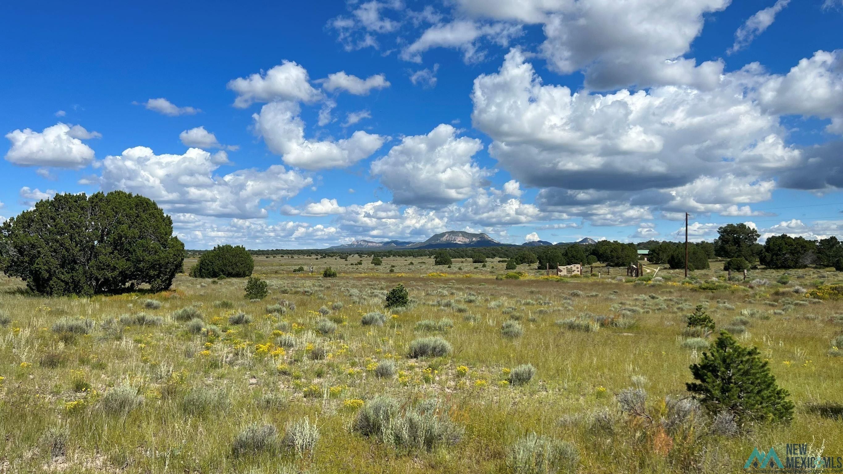Buckhorn Circle, Pie Town, NM 87827 LandWatch
