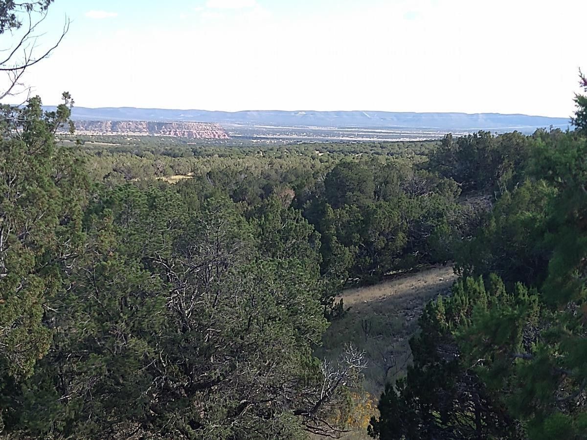 Mountainair, Torrance County, NM Undeveloped Land for sale Property ID 414850510 LandWatch