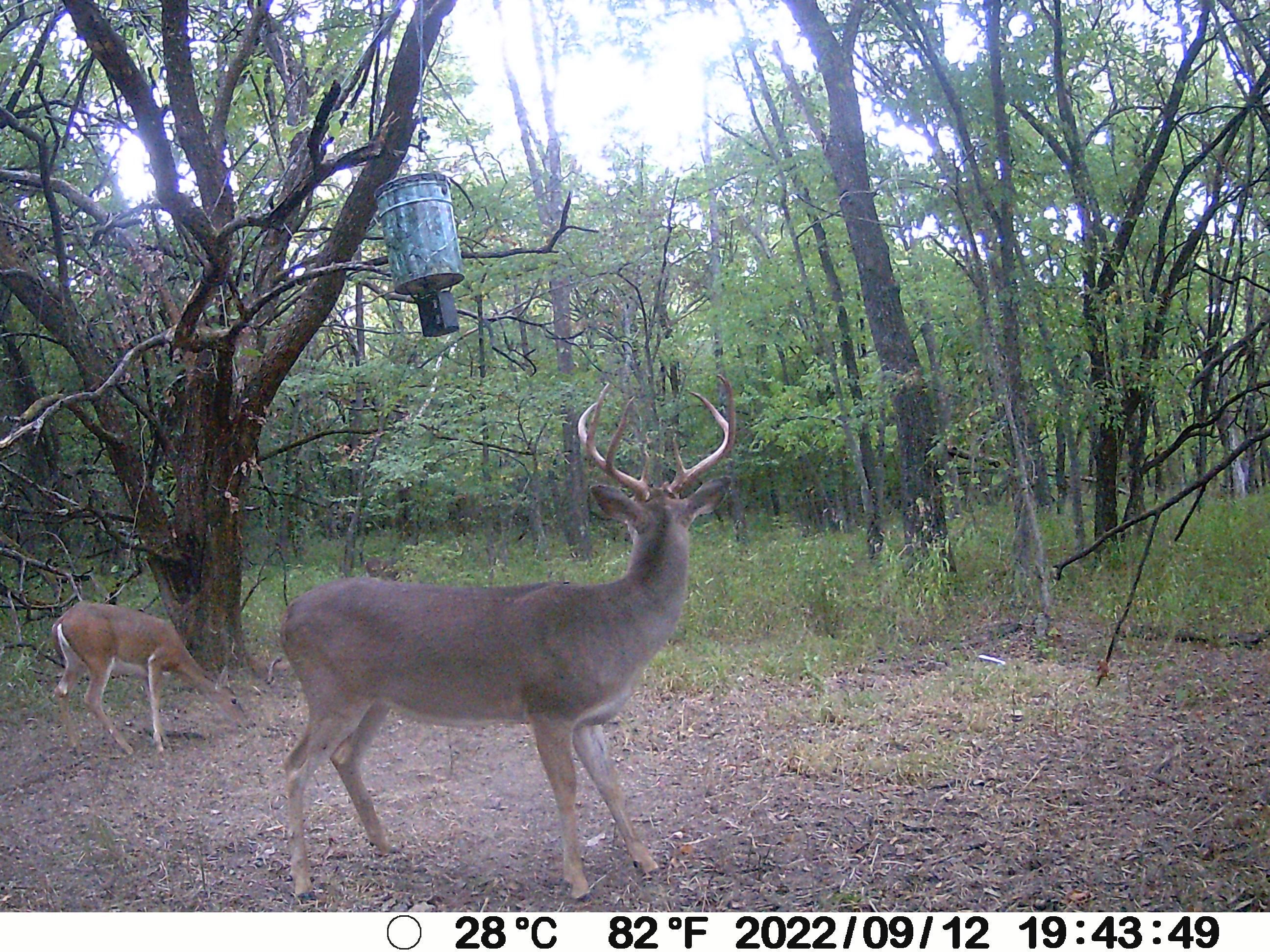 Coalgate, Coal County, OK Recreational Property, Undeveloped Land