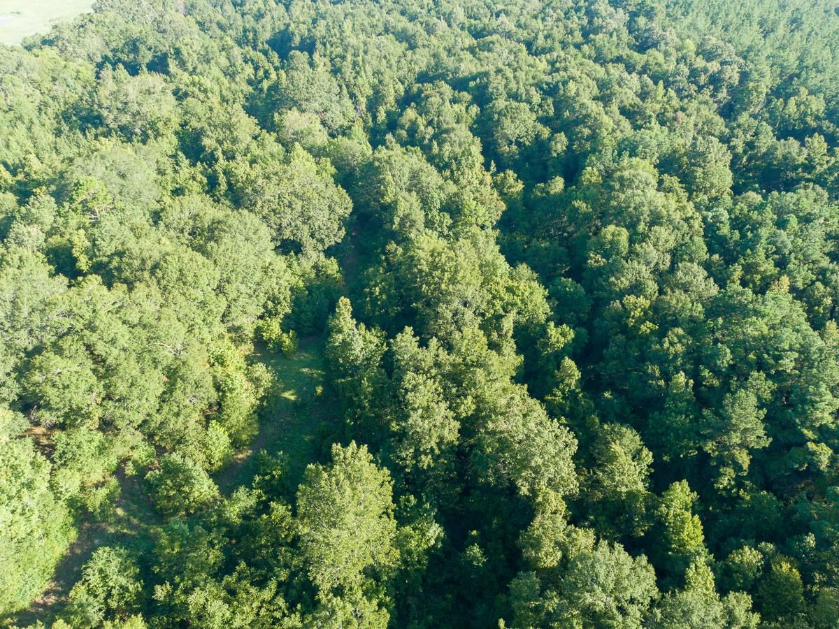 FM 2694, Huxley, TX 75973 LandWatch