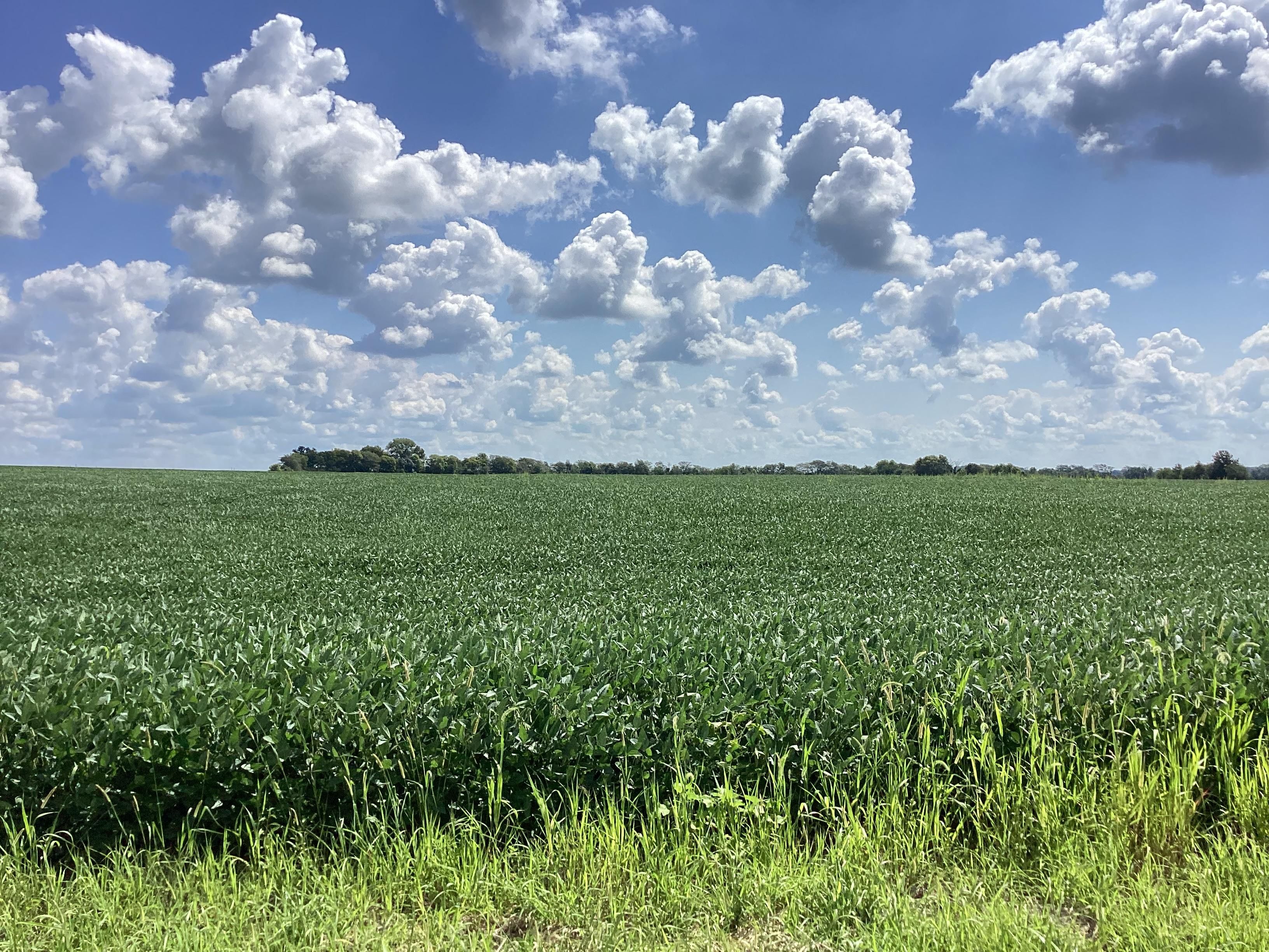 Windsor, Shelby County, IL Farms and Ranches for auction Property ID 414850628 LandWatch