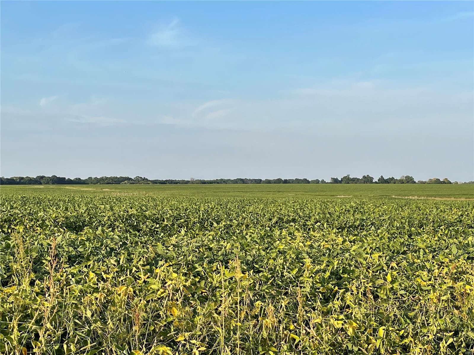 Laddonia, Audrain County, MO Farms and Ranches for sale Property ID