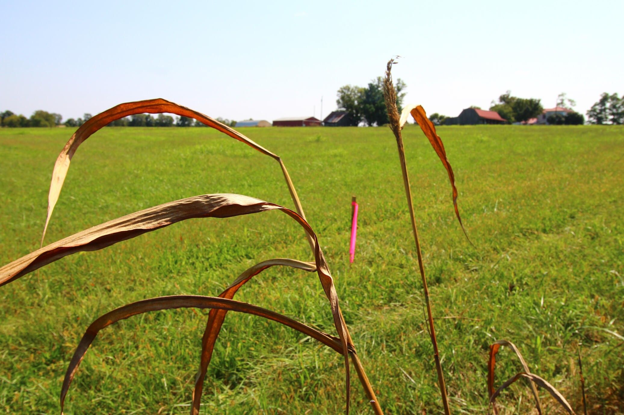 Shelbyville, Shelby County, KY Undeveloped Land for sale Property ID