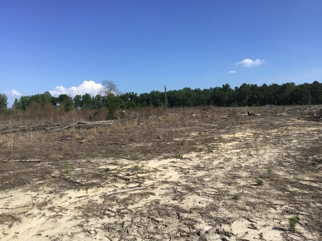 89 acres in Morven, NC, 28119 LandWatch