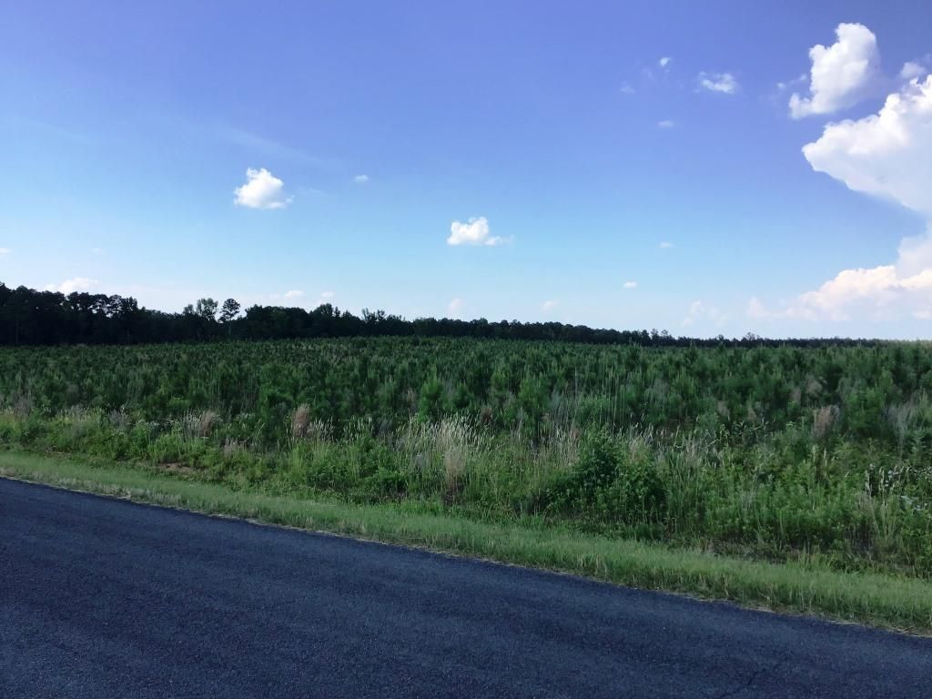 Lowrys, Anson County, NC Recreational Property, Timberland Property for