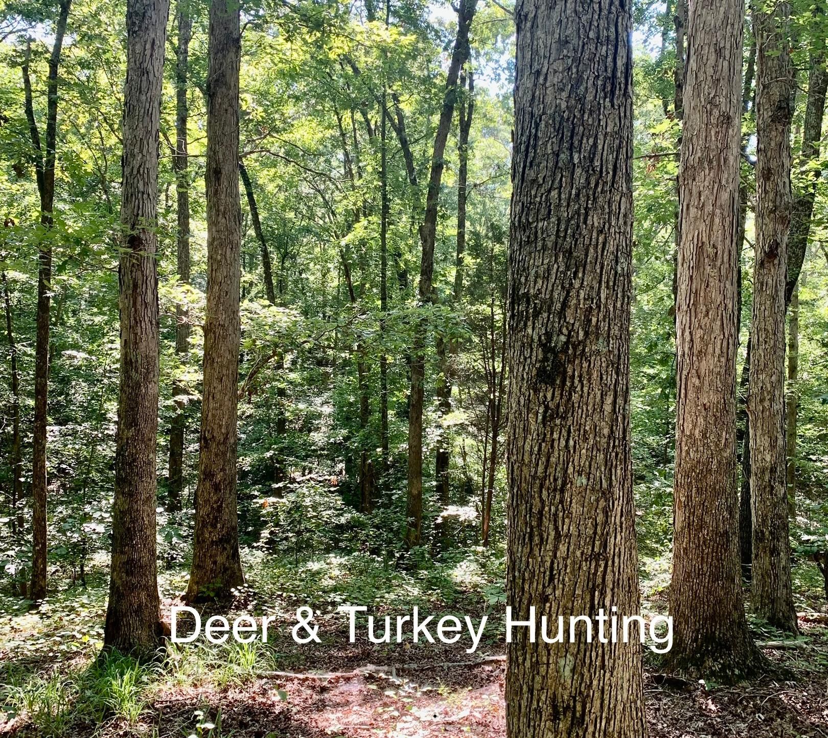 Camden, Benton County, TN Recreational Property, Timberland Property