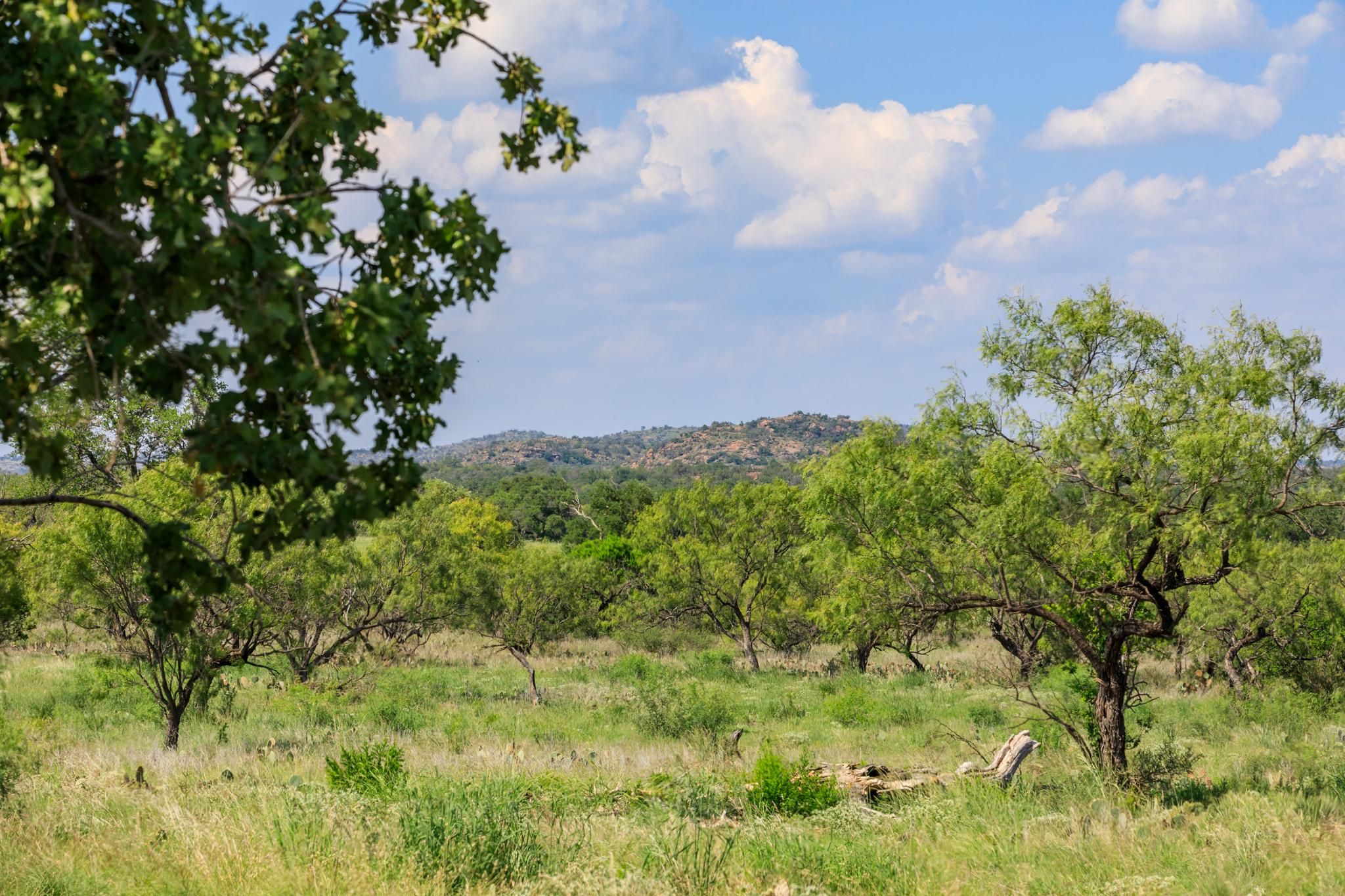 Art, Mason County, TX Farms and Ranches, Recreational Property, Hunting