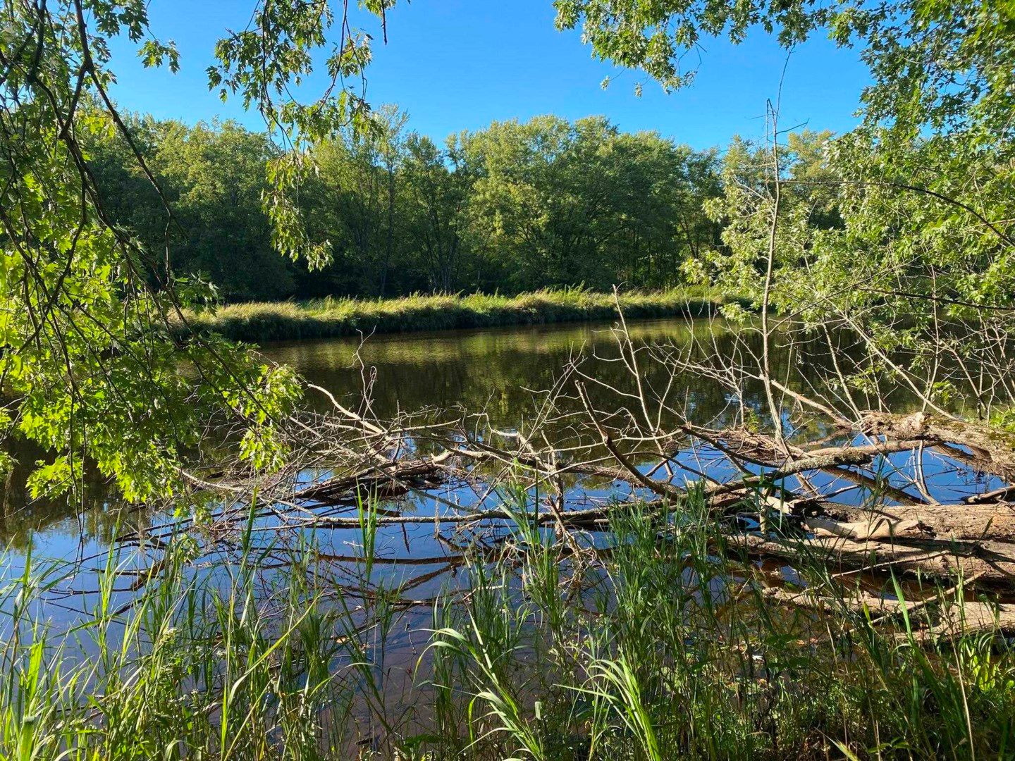 Athelstane, County, WI Undeveloped Land for sale Property ID