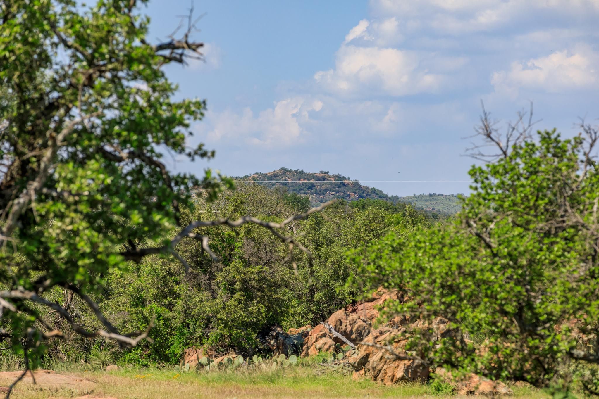 Art, Mason County, TX Farms and Ranches, Recreational Property, Hunting