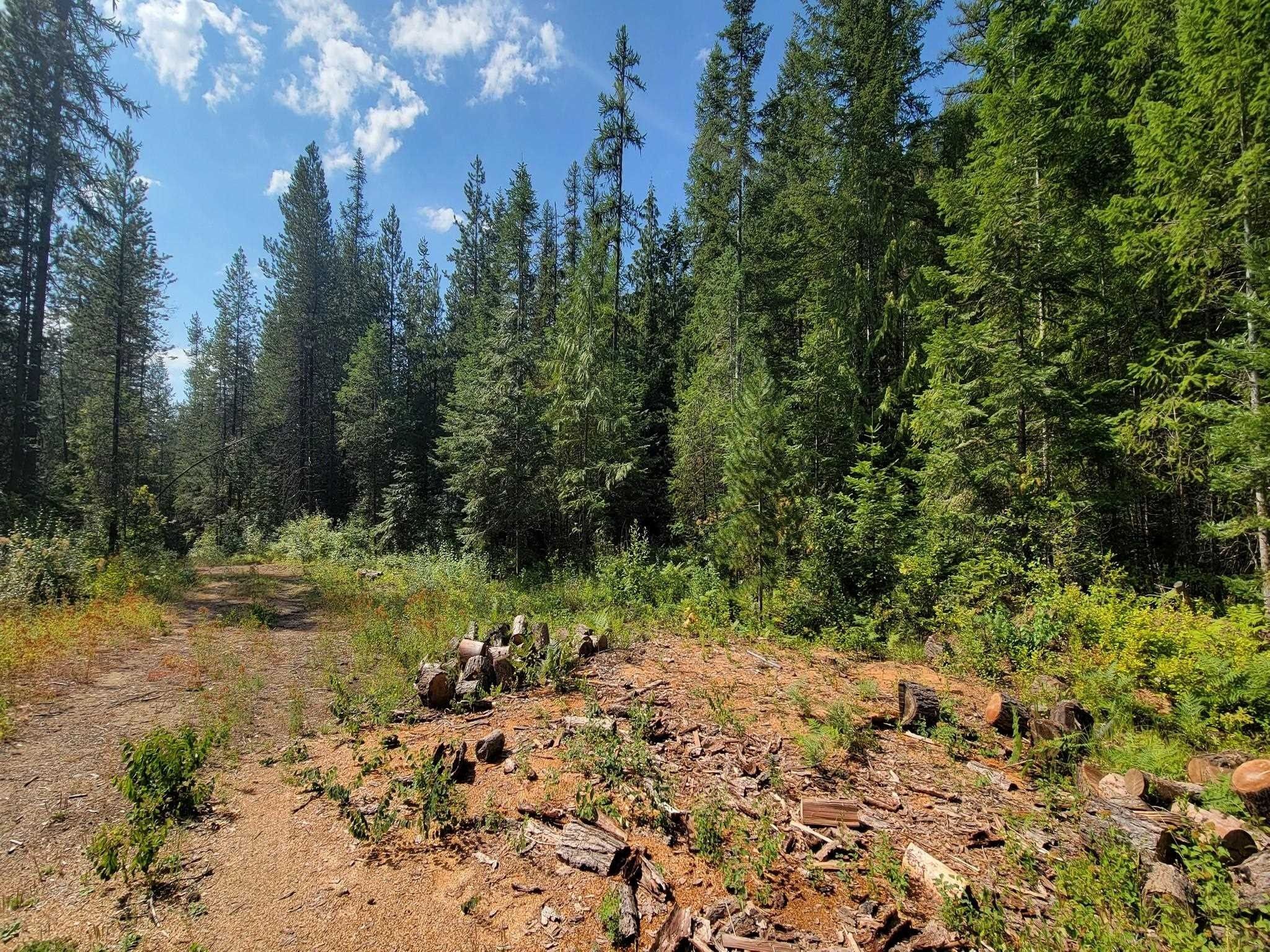 Newport, Pend Oreille County, WA Undeveloped Land for sale Property ID