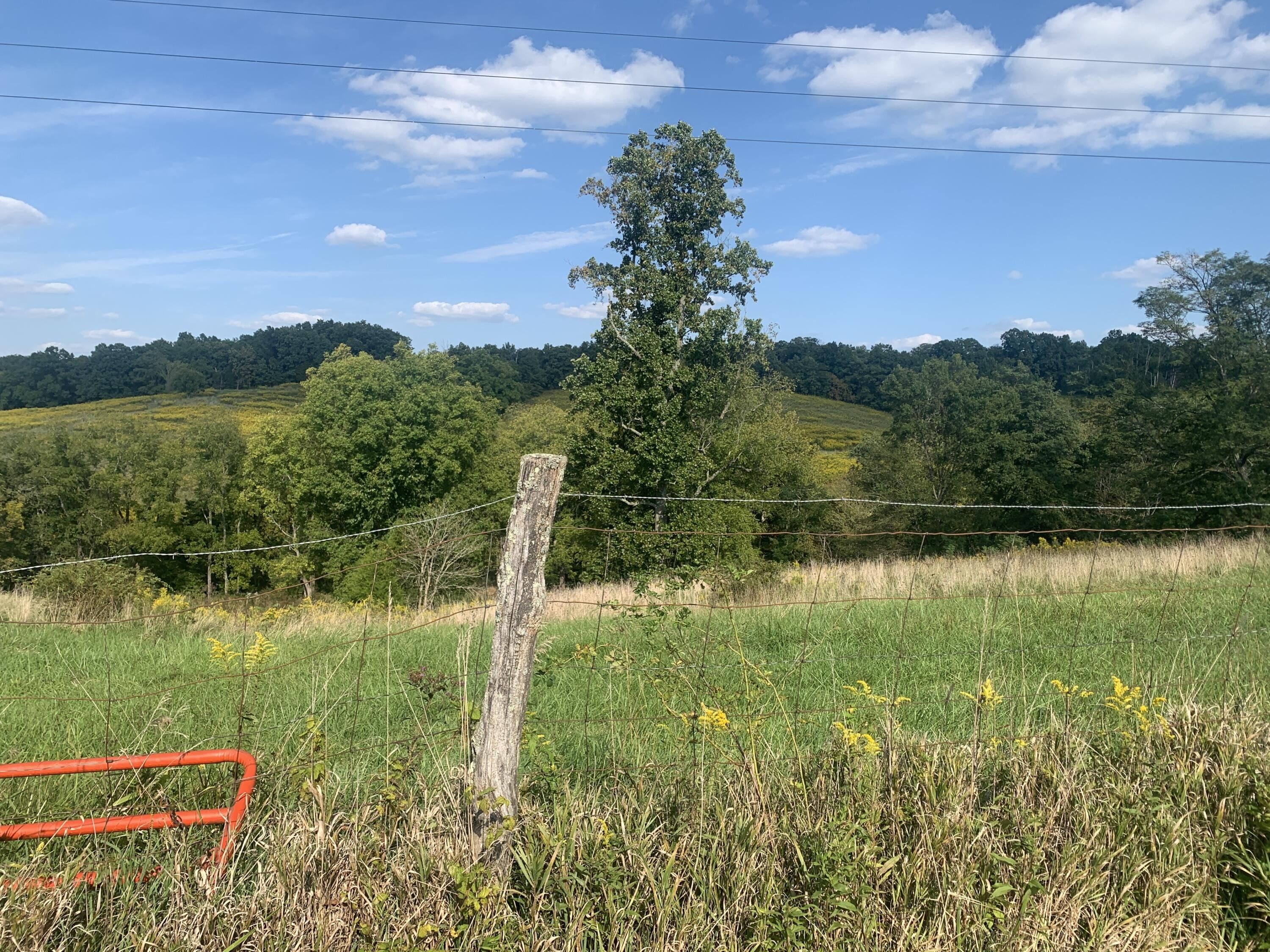 Berry, Harrison County, KY Undeveloped Land for sale Property ID