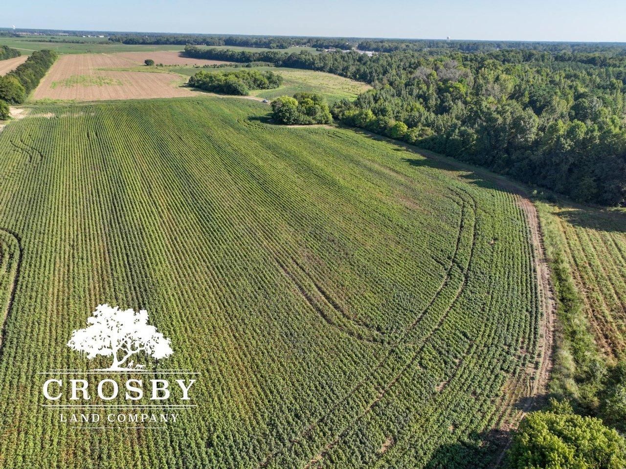 Marlboro County, SC Farms and Ranches, Recreational