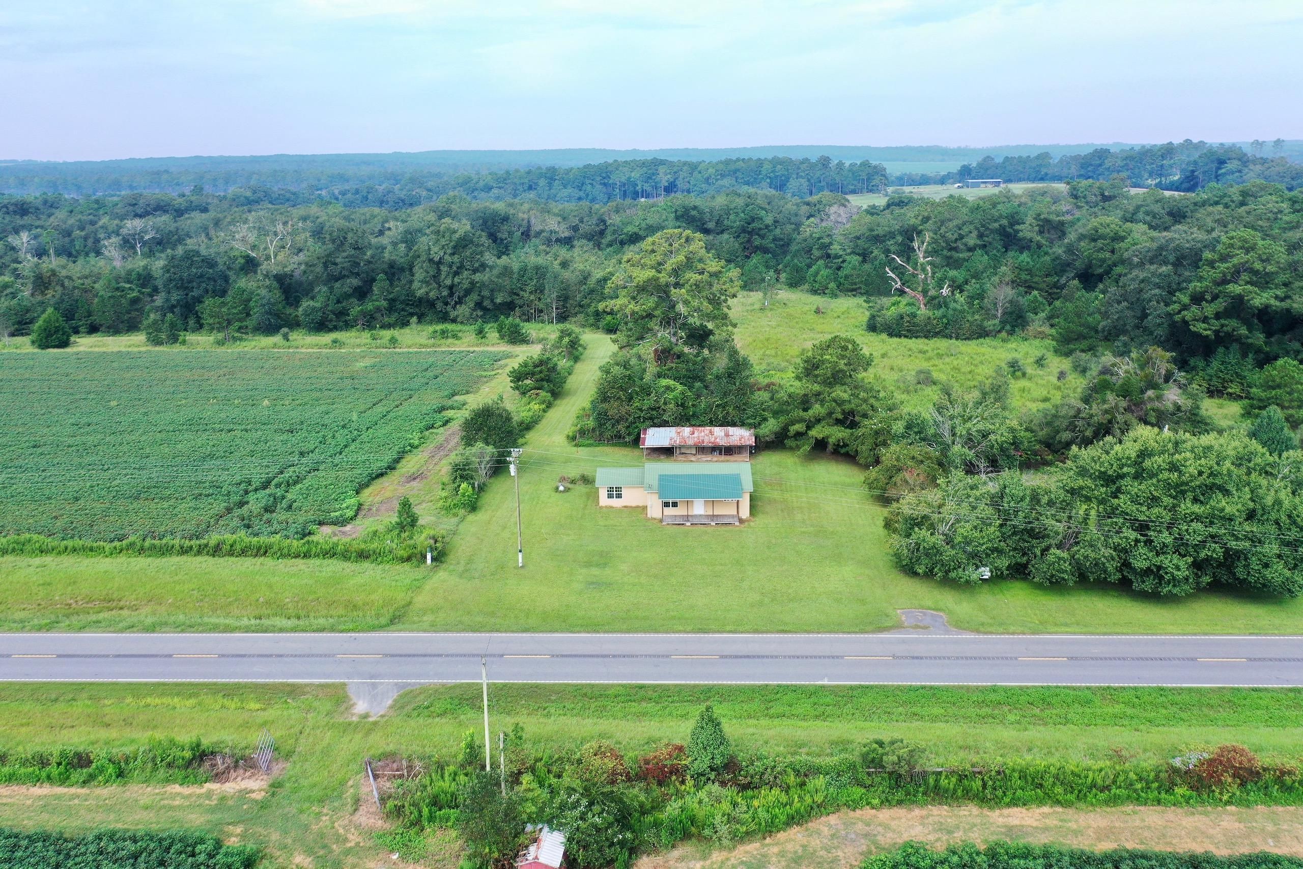 Baconton, Mitchell County, GA Timberland Property, Hunting Property for