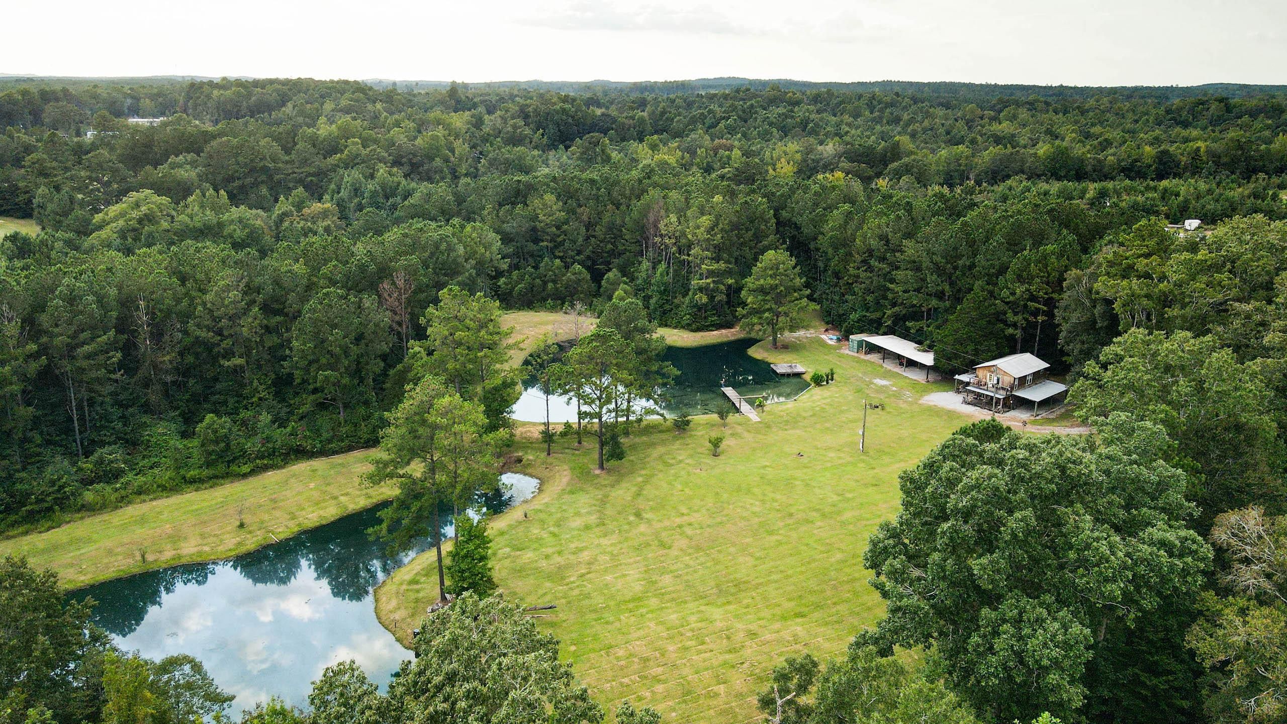 Randolph, Bibb County, AL Recreational Property, Timberland Property
