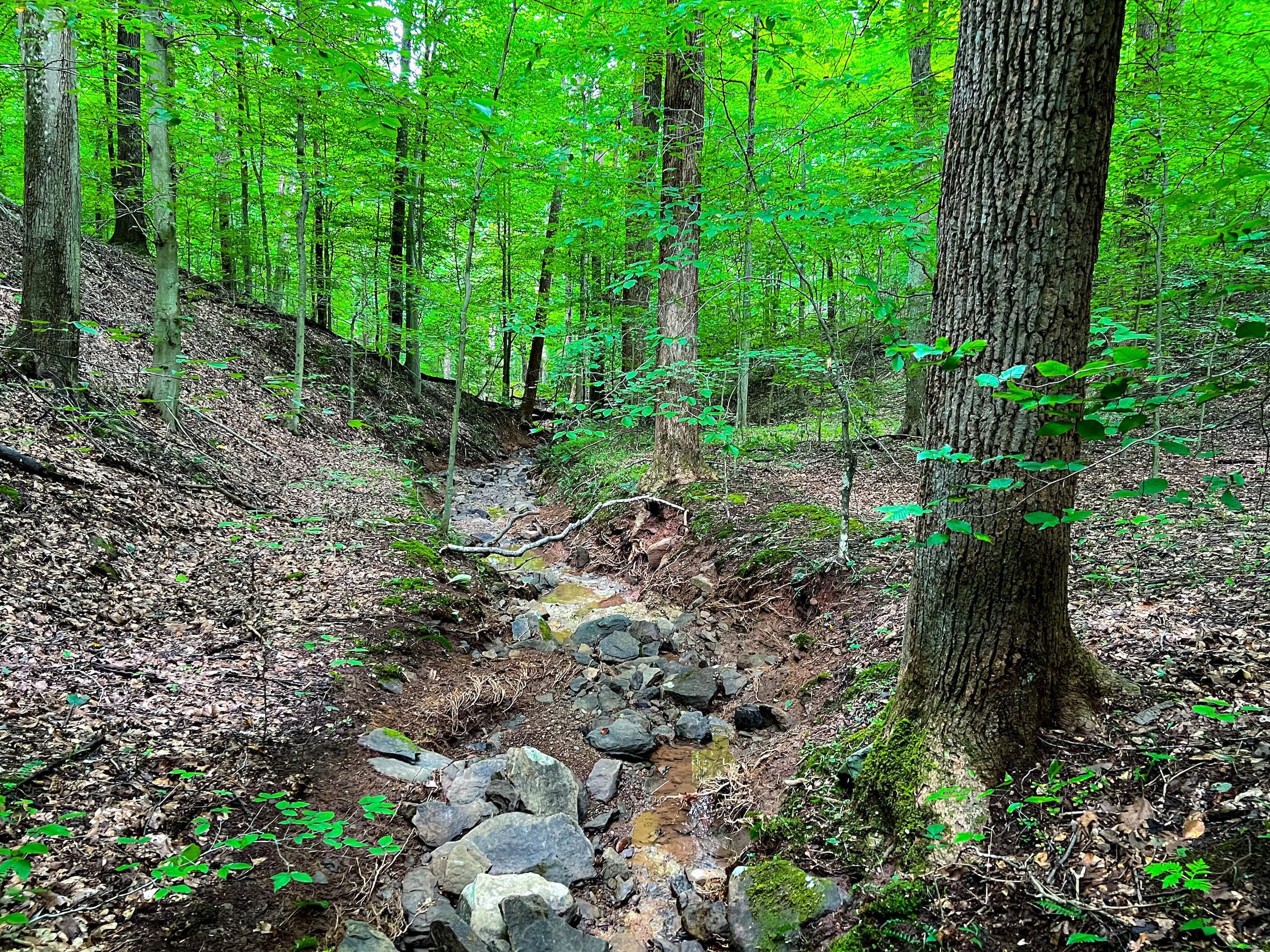 Brohard, Ritchie County, WV Recreational Property, Timberland Property