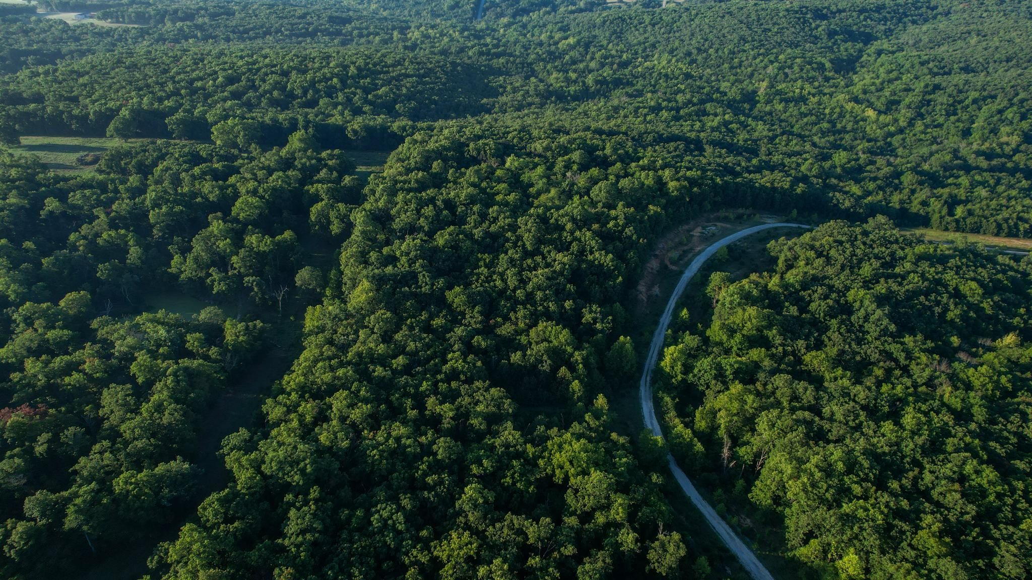 Marshfield, ster County, MO Recreational Property, Timberland