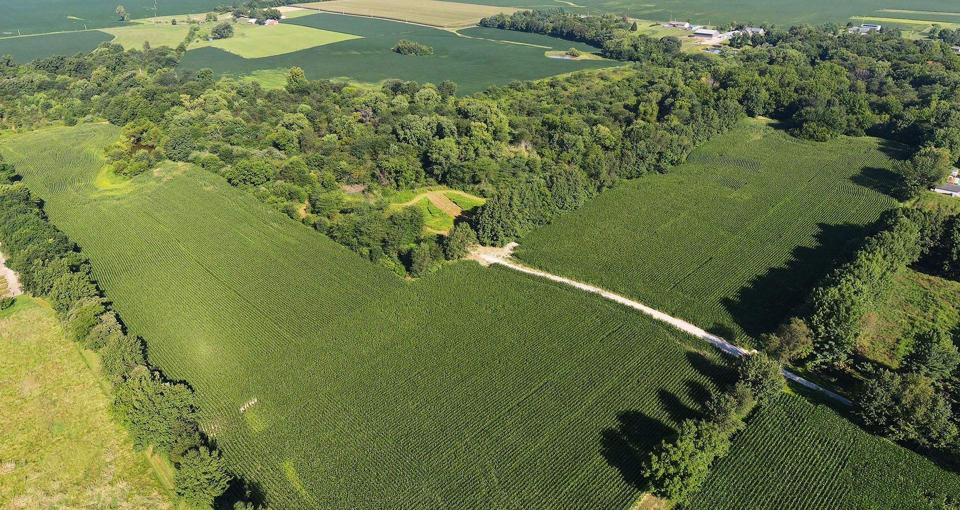 Auburn, Sangamon County, IL Recreational Property, Timberland Property