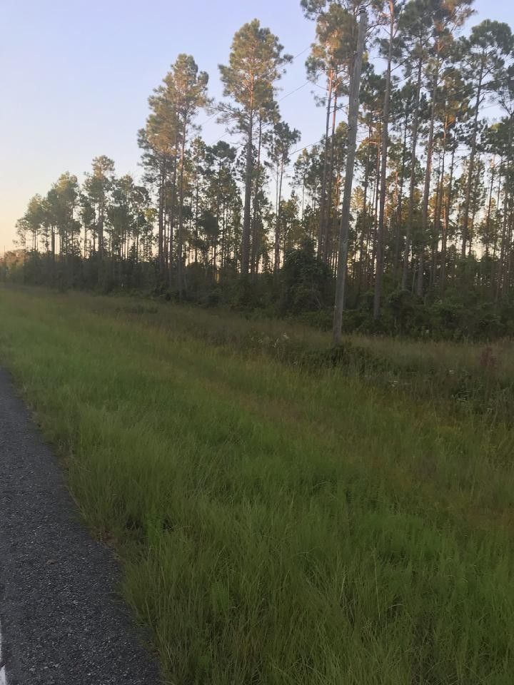 Statenville, Echols County, GA Undeveloped Land for sale Property ID