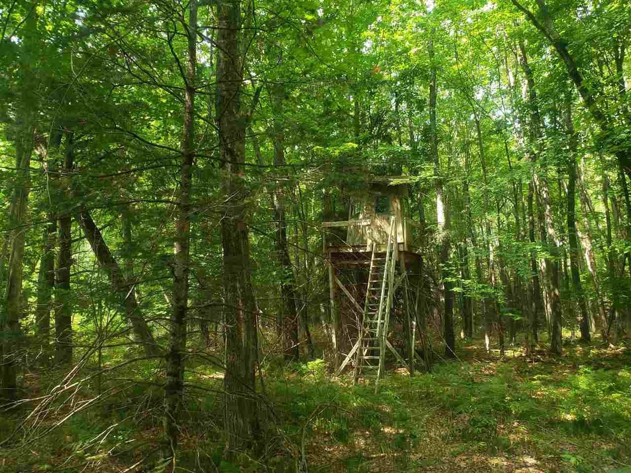 Bellaire, Antrim County, MI Undeveloped Land for sale Property ID