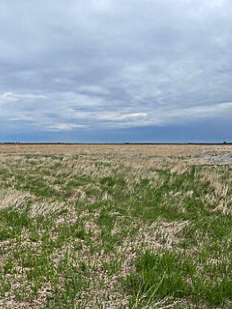Ringsted, Palo Alto County, IA Farms and Ranches, Recreational Property