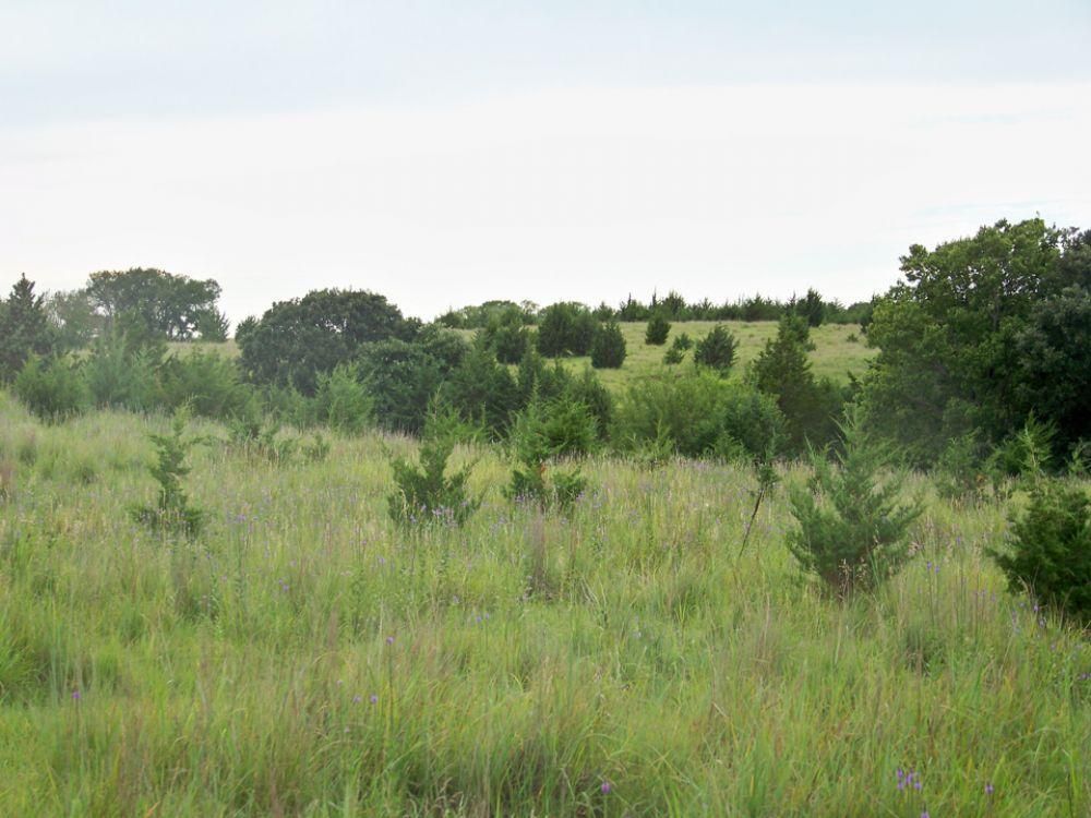 78.51 acres in Burr Oak, KS, LandWatch