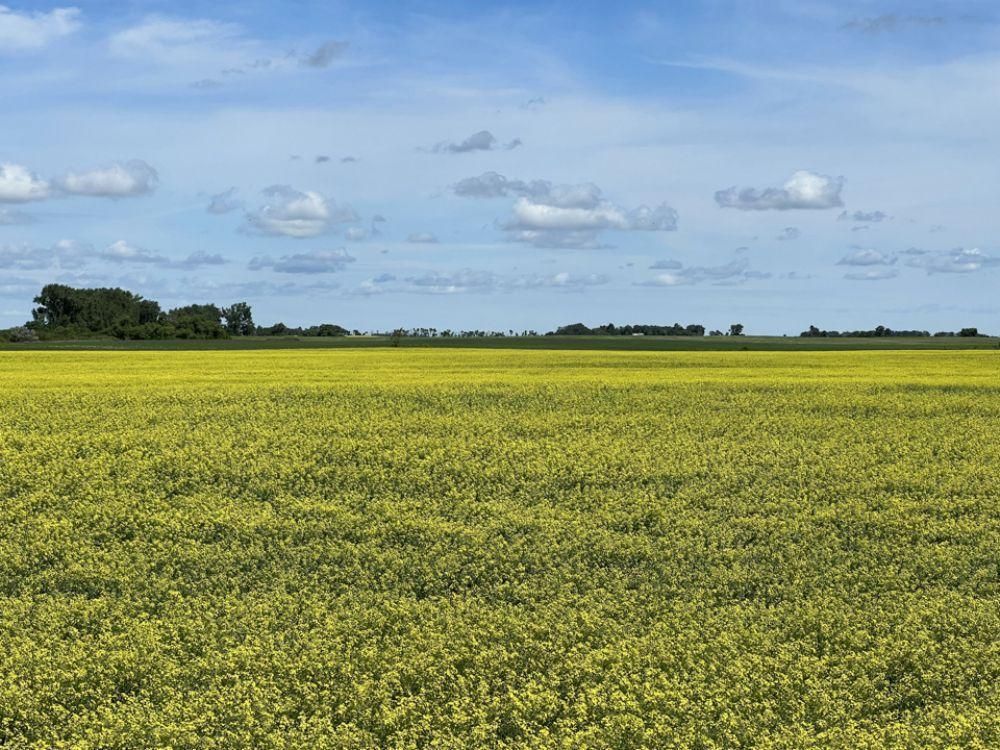 Dahlen, Nelson County, ND Farms and Ranches for sale Property ID