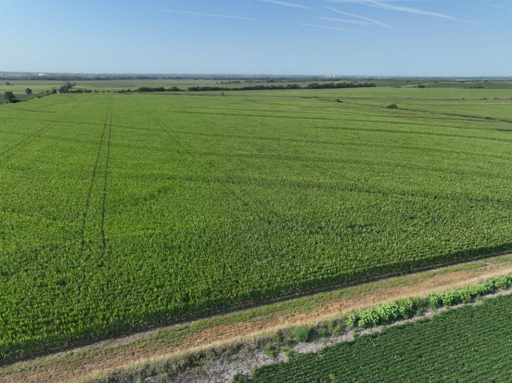 Waverly, Lancaster County, NE Farms and Ranches for sale Property ID