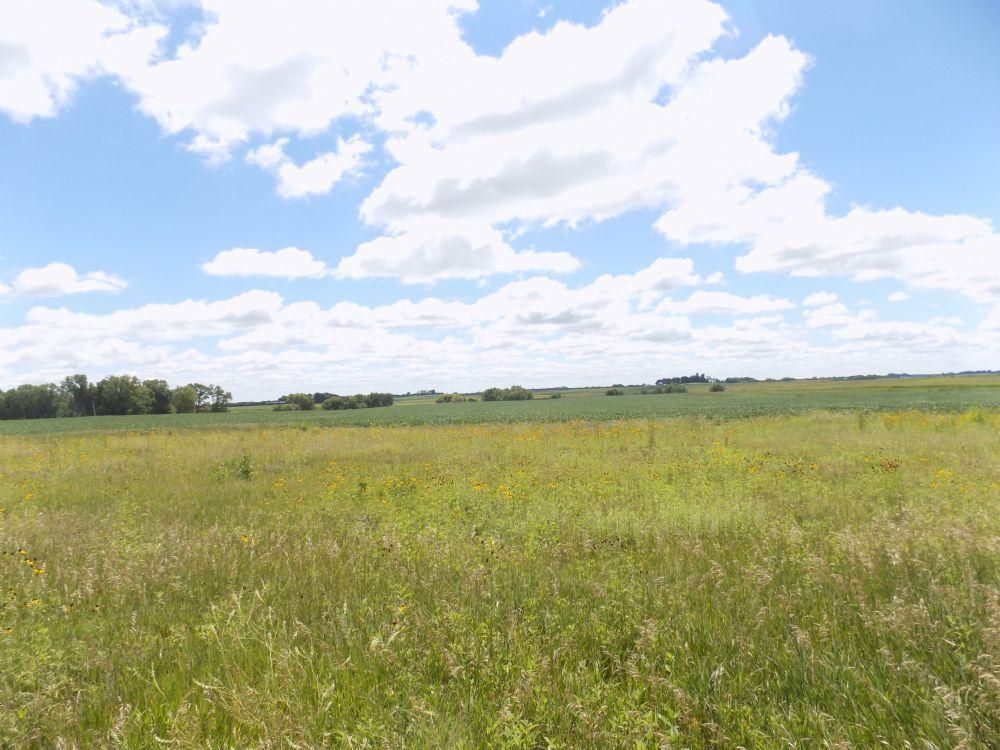 Clare, ster County, IA Farms and Ranches for sale Property ID