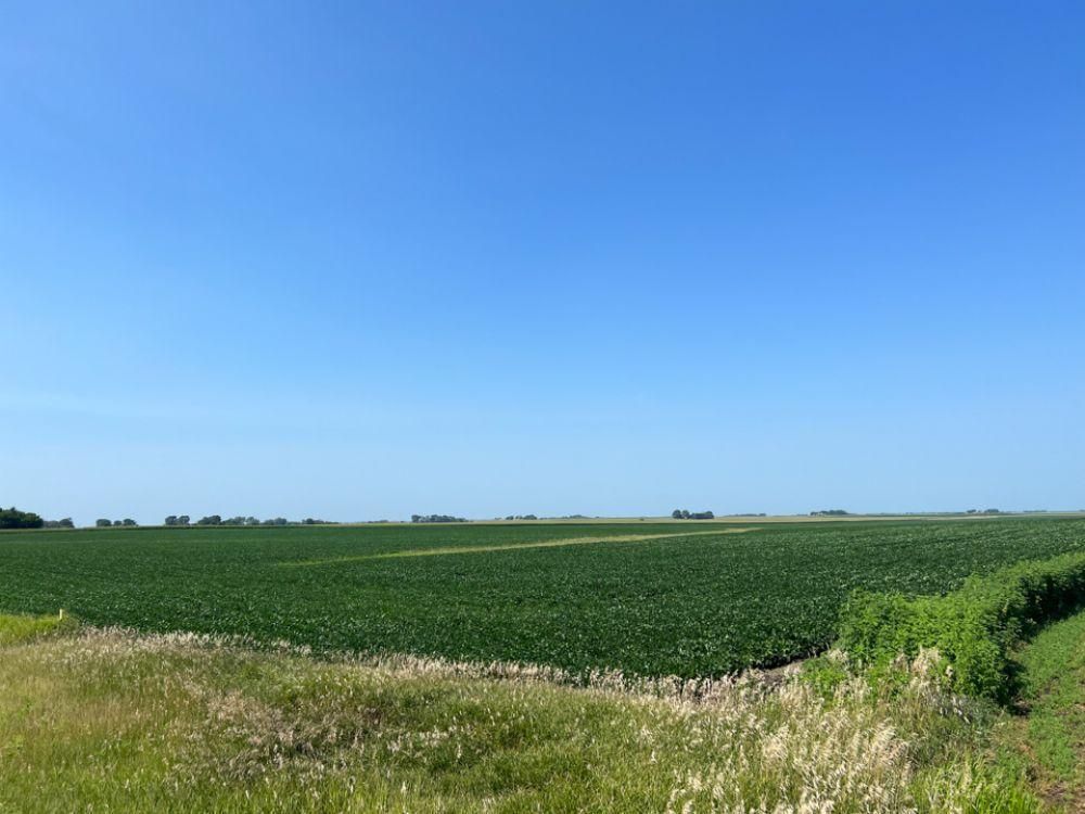 303 acres in Stanhope, IA, LandWatch