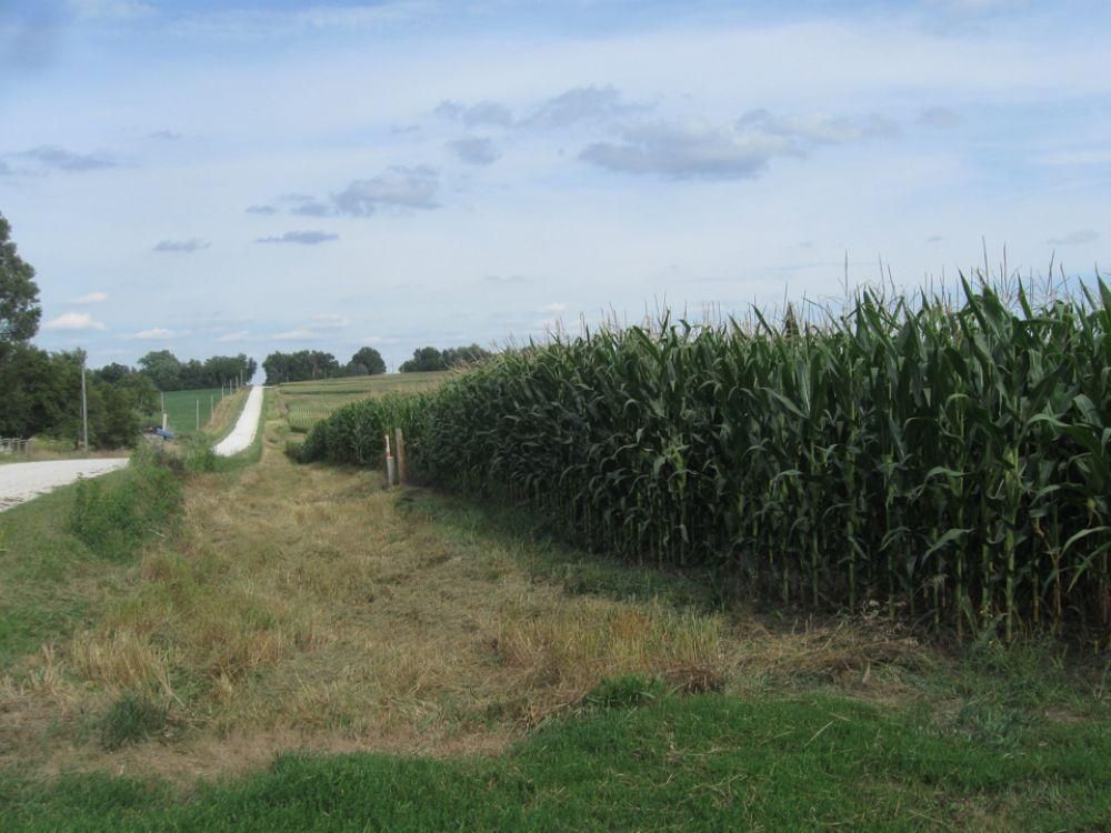 Cumberland, Cass County, IA Farms and Ranches, Recreational Property