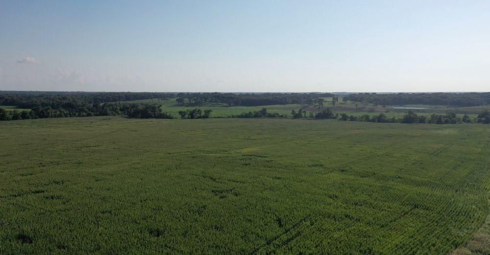 Manila, Pettis County, MO Farms and Ranches, Recreational Property for sale Property ID