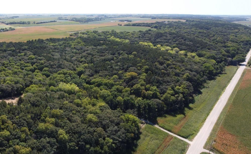 Morse Bluff, Saunders County, NE Farms and Ranches, Recreational Property, Timberland Property