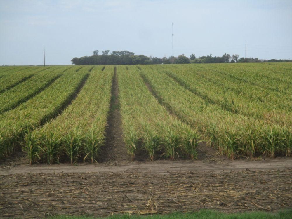 Beaman, Marshall County, IA Farms and Ranches, Undeveloped Land for