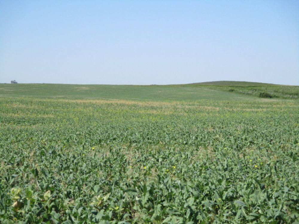 703.15 acres in Butte, ND, 58778 LandWatch