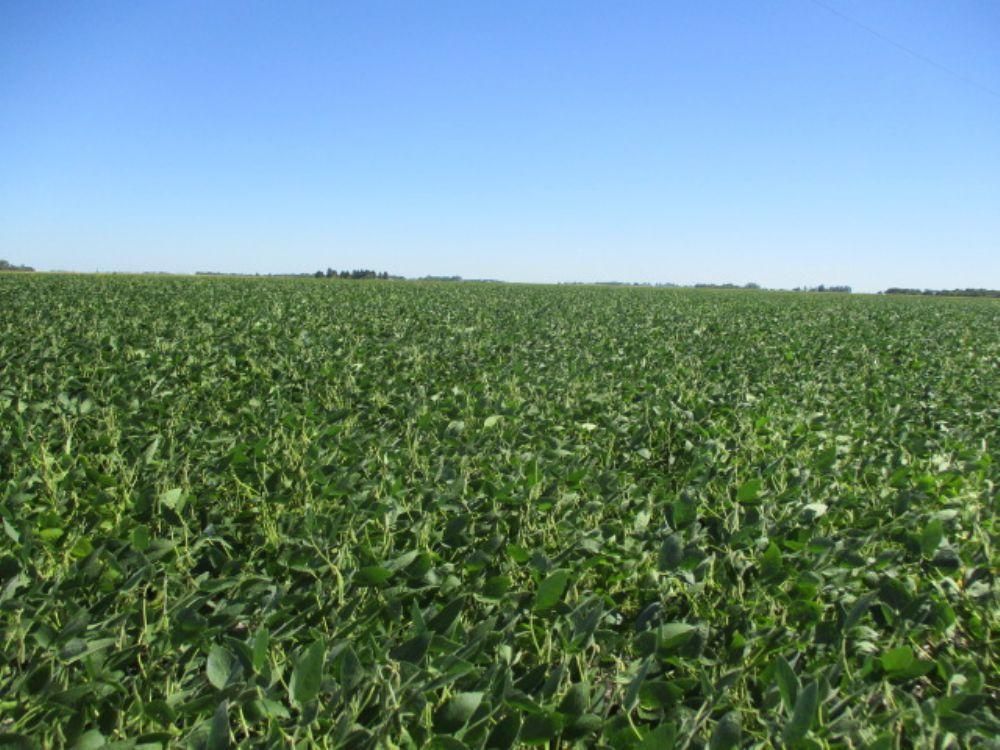 Christine, Richland County, ND Farms and Ranches for sale Property ID