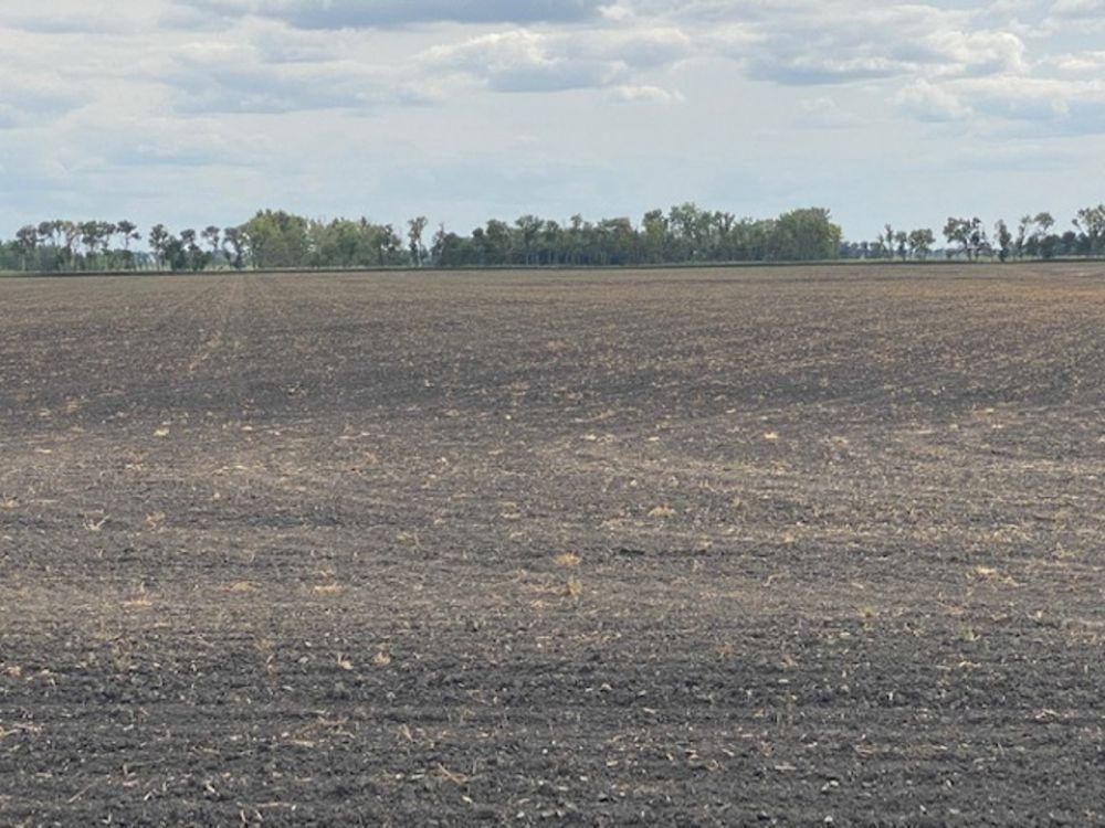 Warsaw, Walsh County, ND Farms and Ranches, Undeveloped Land for sale