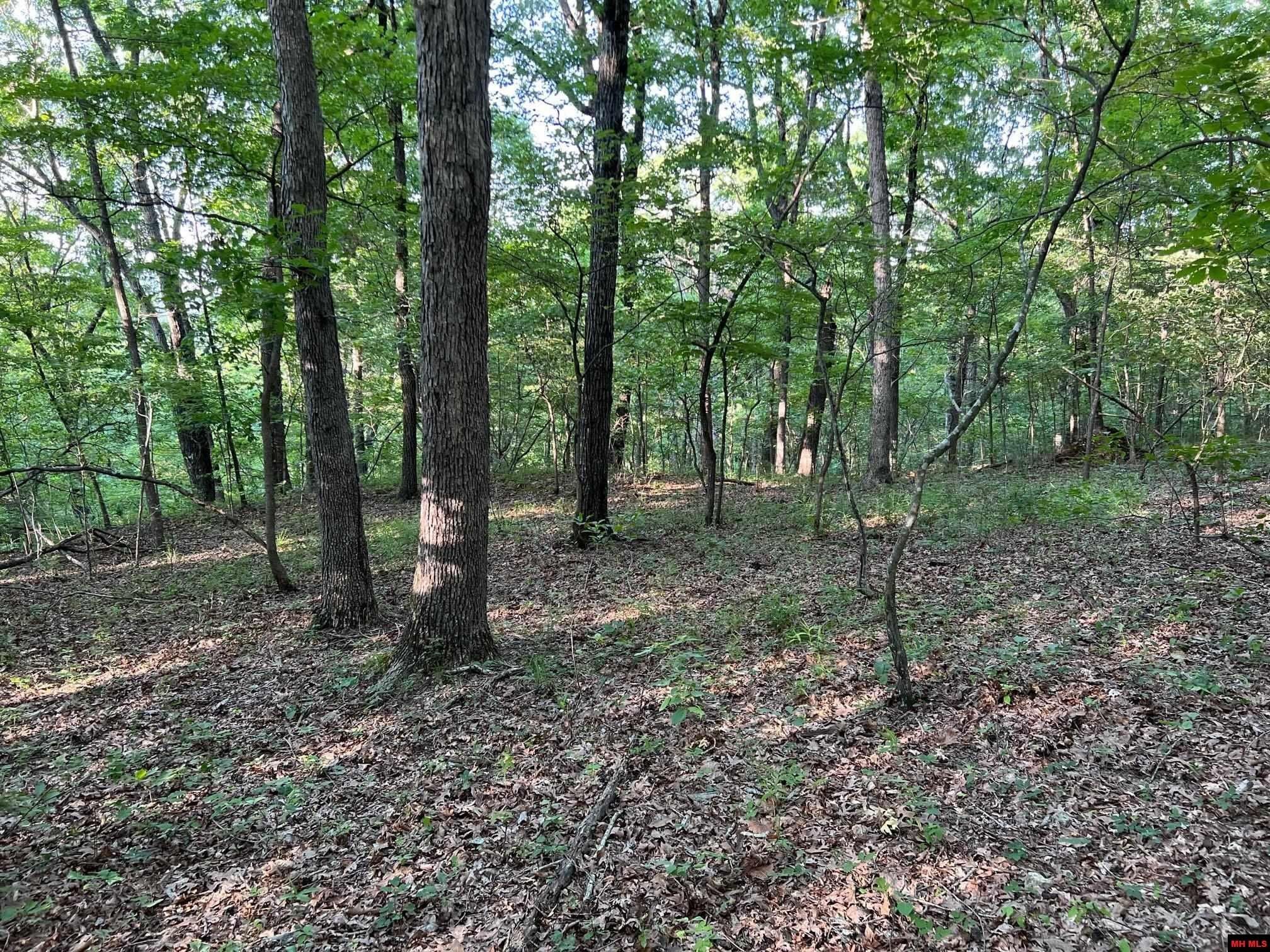 Yellville, Marion County, AR Undeveloped Land for sale Property ID
