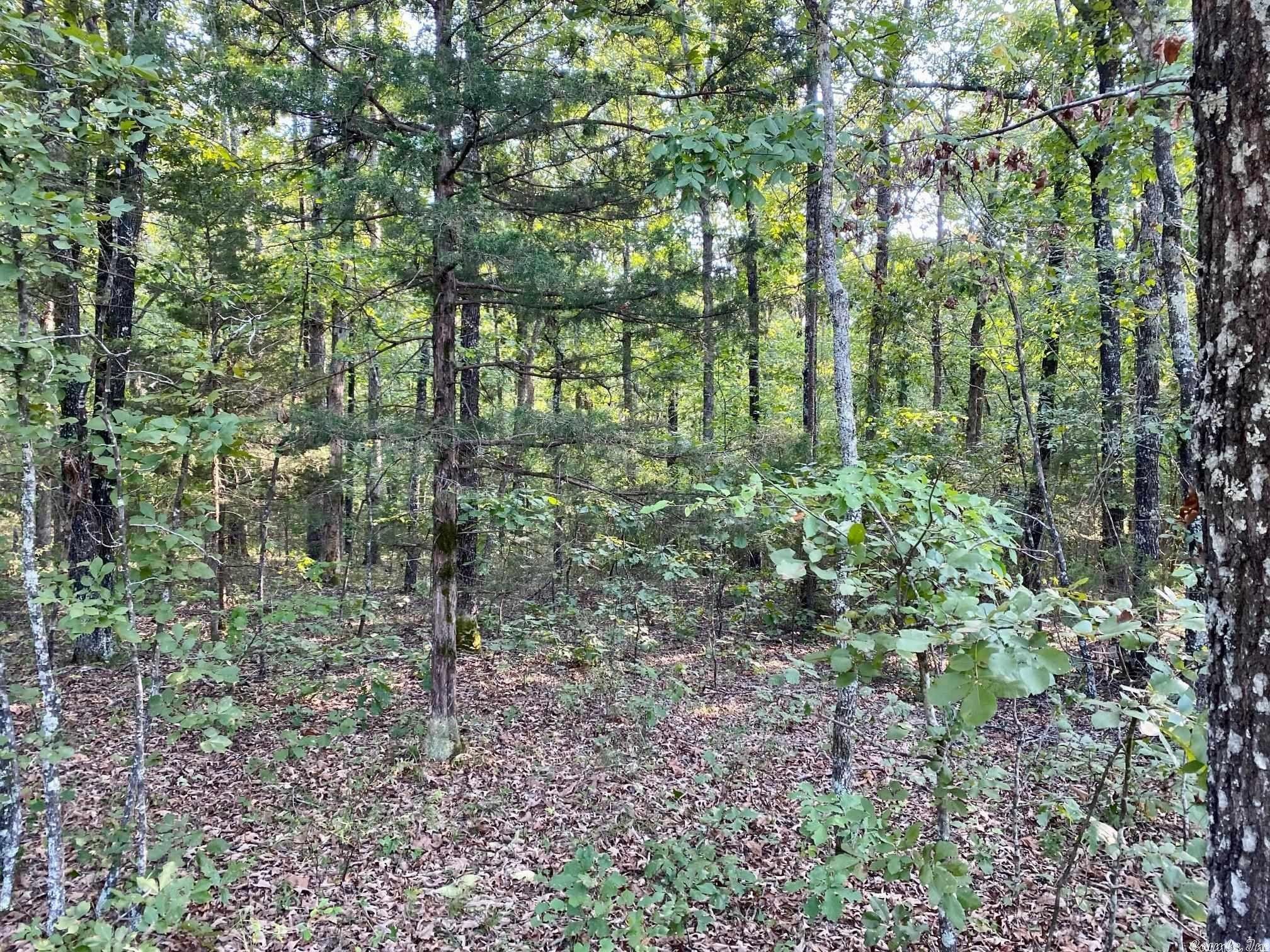 Shirley, Van Buren County, AR Undeveloped Land, Homesites for sale