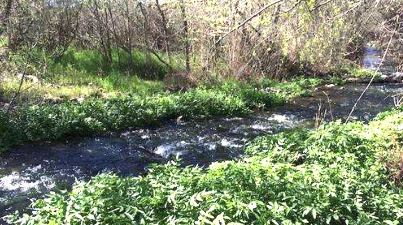 Vail, Eagle County, CO Recreational Property for sale Property ID