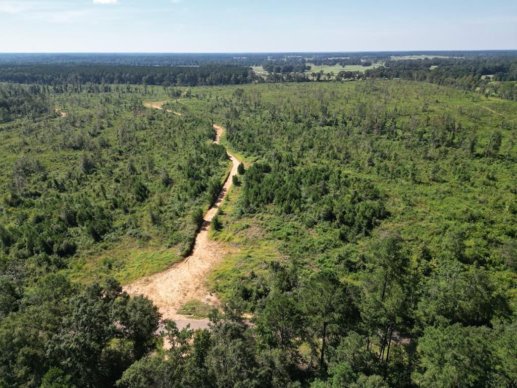 Osyka, Pike County, MS Recreational Property, Undeveloped Land, Hunting