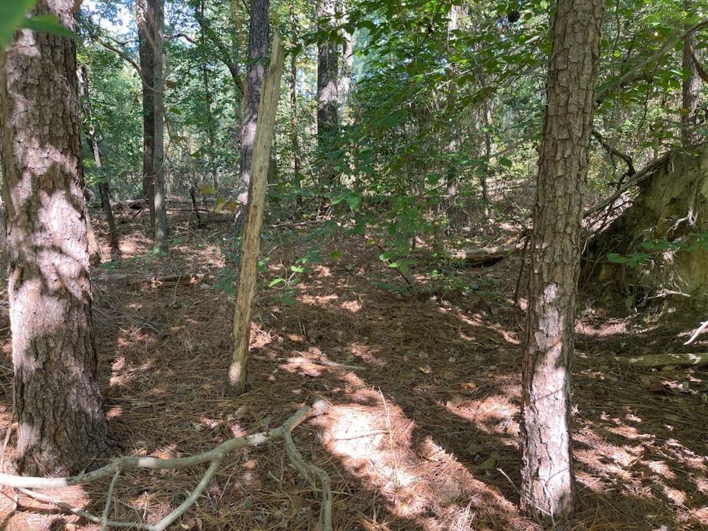 Montross, Westmoreland County, VA Homesites for sale Property ID